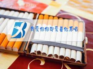 我爱你你却爱着他原唱