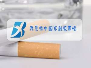 我爱你中国京剧版原唱