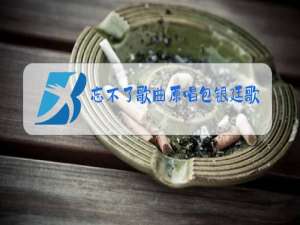 忘不了歌曲原唱包银廷歌词
