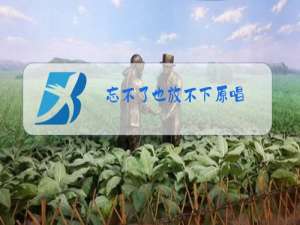 忘不了也放不下原唱