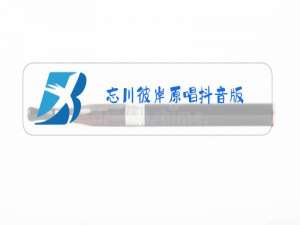 忘川彼岸原唱抖音版