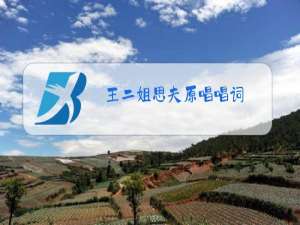王二姐思夫原唱唱词
