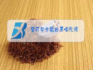 望而却步歌曲原唱视频