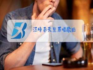 汪峰春天里原唱歌曲