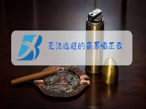 无法逃避的痛原唱正云