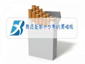 我还是那个少年的原唱现场