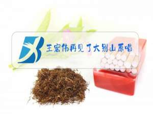 王宏伟再见了大别山原唱视频歌词