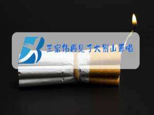 王宏伟再见了大别山原唱视频