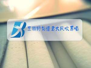 王赫野刘惜君大风吹原唱