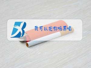 我可以抱你吗原唱