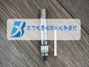 忘了吧原唱那风吹和雨打