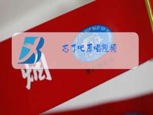 忘了吧原唱视频