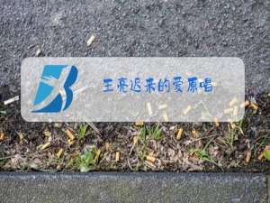 王亮迟来的爱原唱