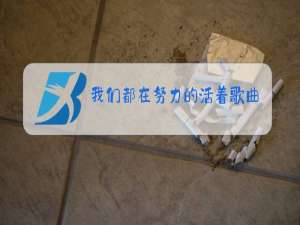 我们都在努力的活着歌曲原唱歌词