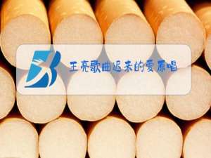 王亮歌曲迟来的爱原唱