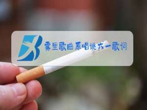 雾里歌曲原唱姚六一歌词