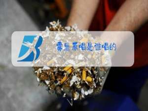 雾里原唱是谁唱的