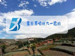 雾里原唱姚六一歌曲