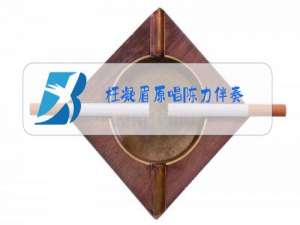 枉凝眉原唱陈力伴奏