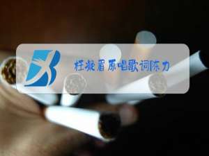 枉凝眉原唱歌词陈力