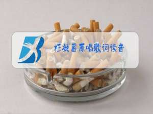 枉凝眉原唱歌词读音