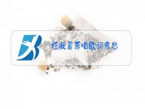 枉凝眉原唱歌词意思