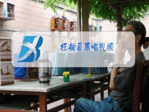 枉凝眉原唱视频