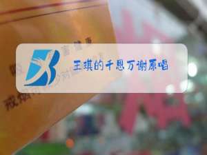 王琪的千恩万谢原唱