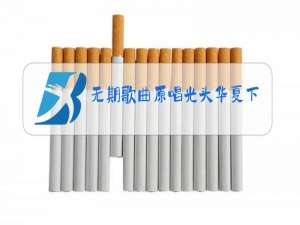 无期歌曲原唱光头华夏下载