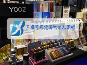 王琪可可托海牧羊人原唱下载