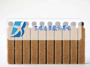 王琪送亲歌词原唱