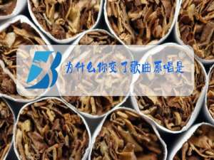 为什么你变了歌曲原唱是谁?