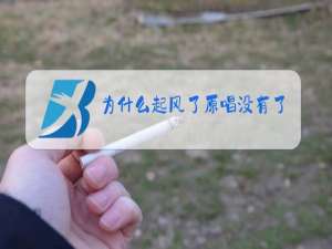 为什么起风了原唱没有了