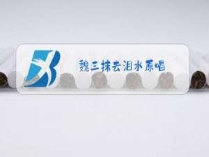 魏三抹去泪水原唱