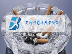 无所谓歌曲原唱视频