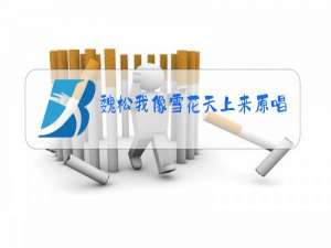 魏松我像雪花天上来原唱