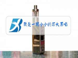 我是一颗小小的石头原唱是谁