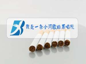 我是一条小河歌曲原唱视频