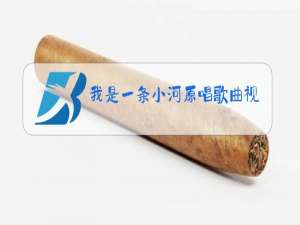 我是一条小河原唱歌曲视频歌词