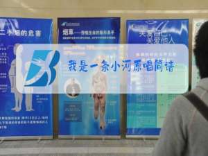 我是一条小河原唱简谱