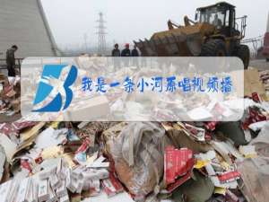 我是一条小河原唱视频播放