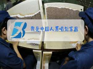 我是中国人原唱刘家昌