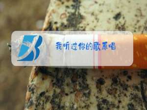 我听过你的歌原唱