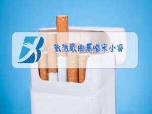 微微歌曲原唱宋小睿