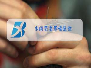 未闻花名原唱是谁