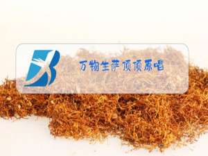 万物生萨顶顶原唱,播放