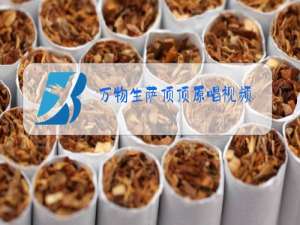 万物生萨顶顶原唱视频