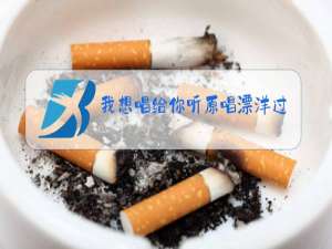 我想唱给你听原唱漂洋过海来看你