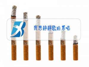 我想静静歌曲原唱