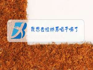 我想去桂林原唱干嘛了